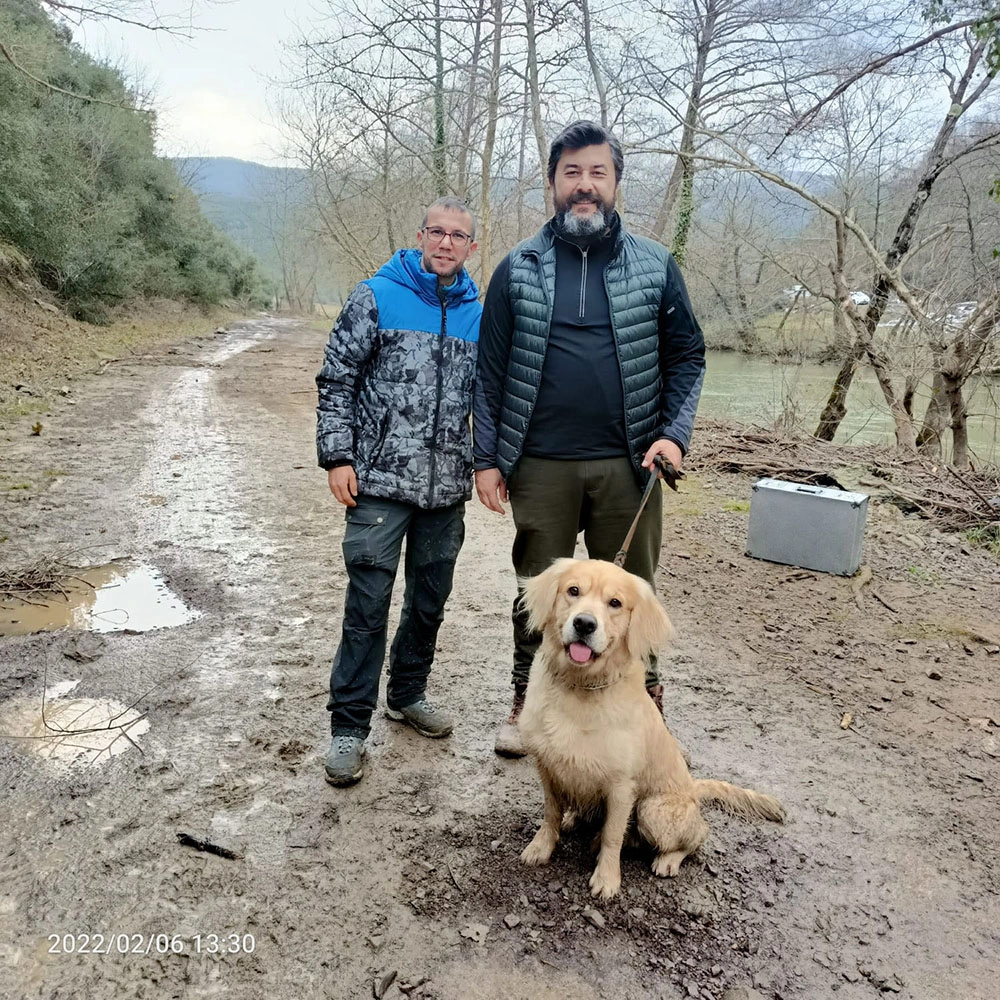 Pansiyon